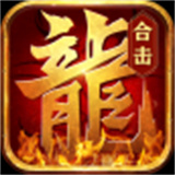 觉醒英雄合击