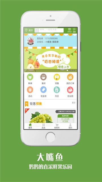 大嘴鱼