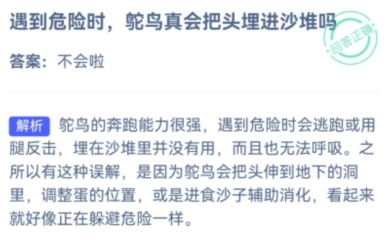 蚂蚁庄园9月20日答案最新2022 鸵鸟
