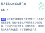 小鸡庄园最新答案9.13 仙人掌