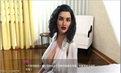 沉寂之舞汉化版截图