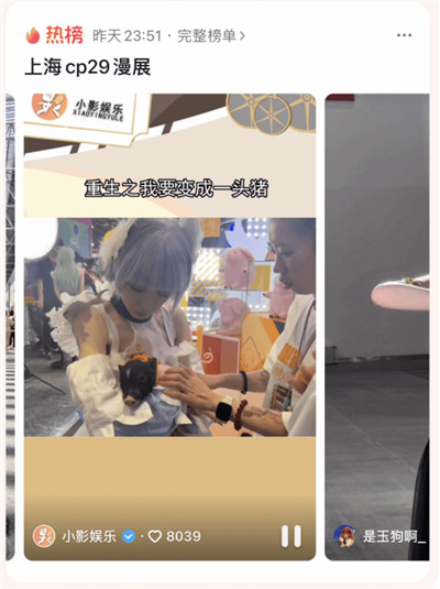 cp29结束了，我最羡慕的竟然是一只猪