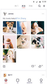 集康康app