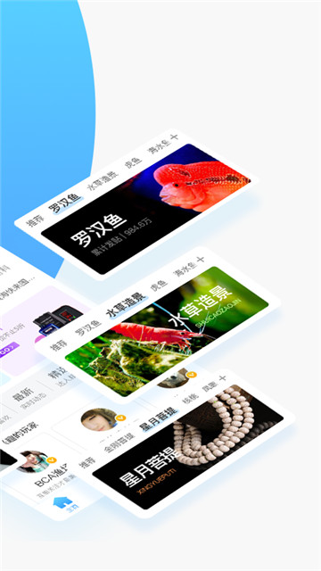 鱼邻软件