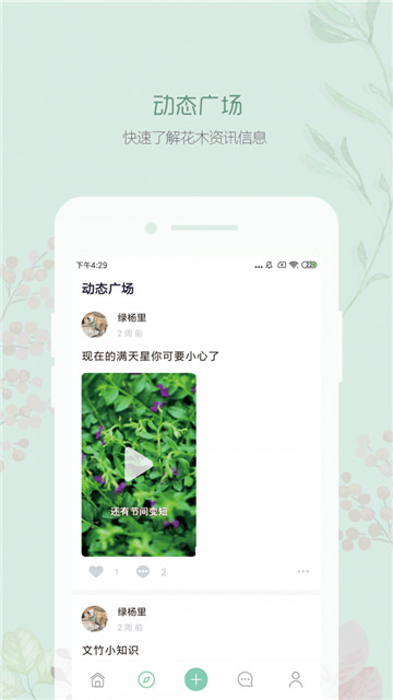 懂苗木app