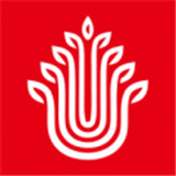 乐椿轩