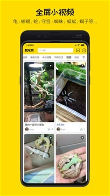 爬宠网软件