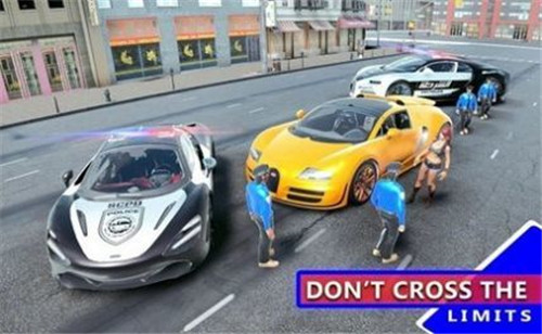 超级警察巡逻车截图