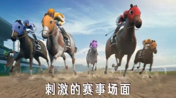 模拟赛马竞赛游戏手机版截图