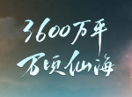 万顷仙海沉浸探险，倩女手游全新玩法【仙海远航】抢先体验！