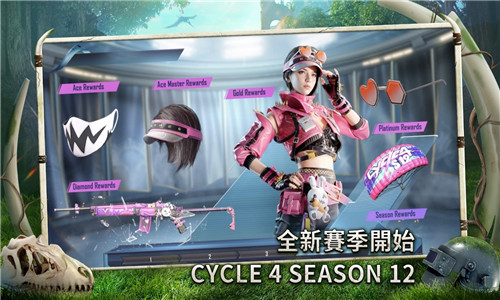 PUBG国际版截图