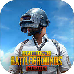 pubg国际版最新版本2.5.0