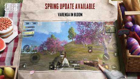 pubg国际版最新版本2.5.0截图