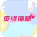见缝插糖