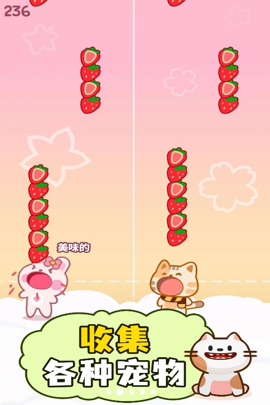 萌猫二重奏