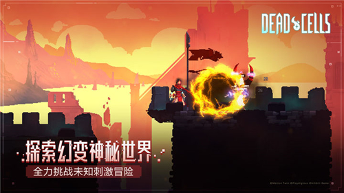 重生细胞3.2.4无邪版截图