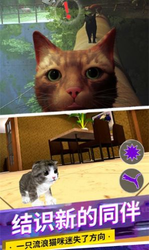 猫咪城市模拟器游戏中文版