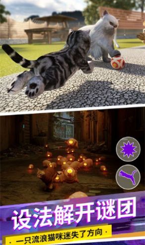 猫咪城市模拟器游戏中文版