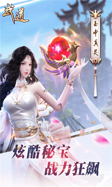 武道风云截图