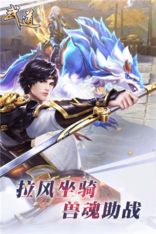 武道风云
