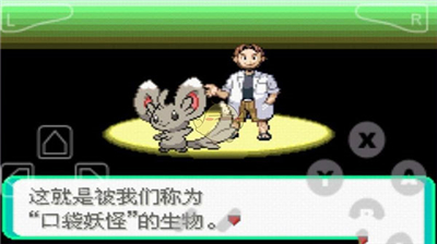 口袋妖怪漆黑的魅影5.0exbw