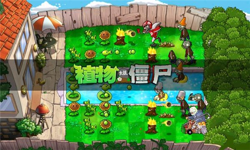 植物大战僵尸TV版截图