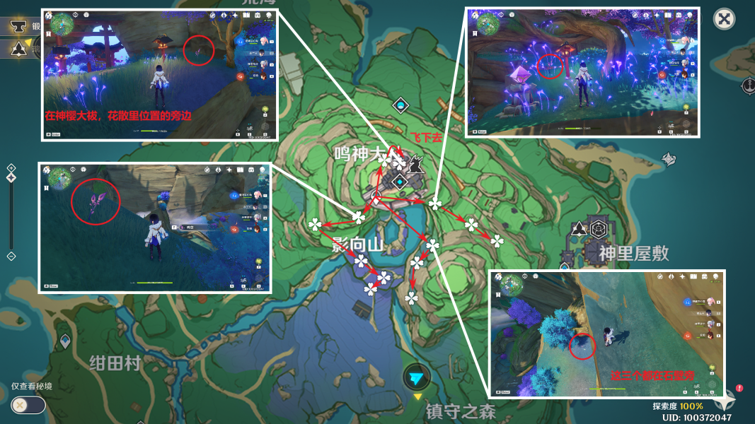 原神鸣草在哪里采集 原神鸣草收集路线图