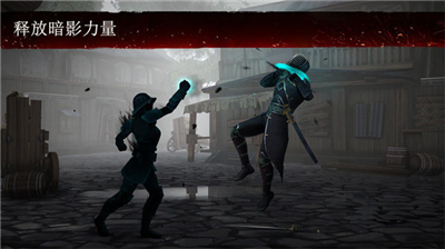 暗影格斗3中文版mod