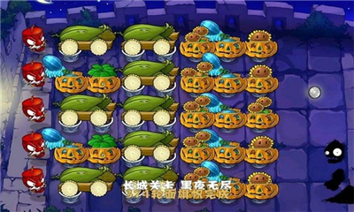 植物大战僵尸Ciaout版