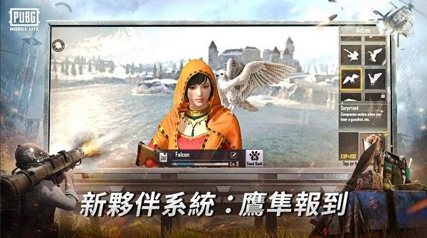 PUBG越南服截图