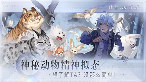 代号函数塔测试服截图