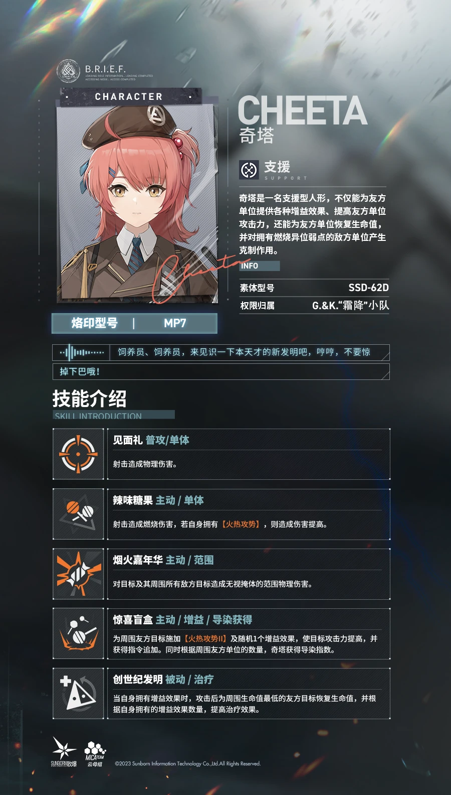 少女前线2追放奇塔技能 少女前线2追放奇塔强度