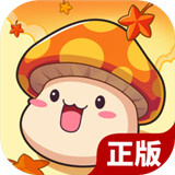 冒险岛联盟的意志游戏