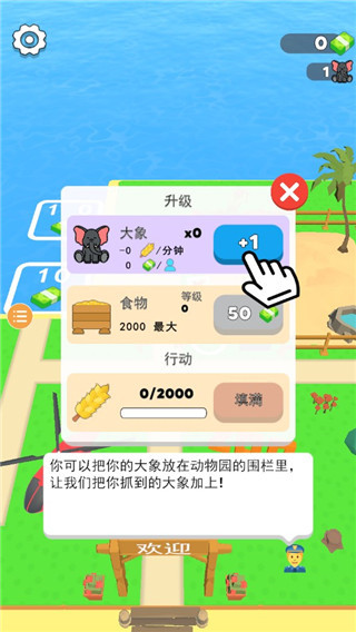 动物小岛