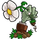 pvzfree汉化版