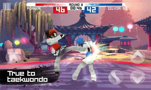 跆拳道游戏taekwondo截图