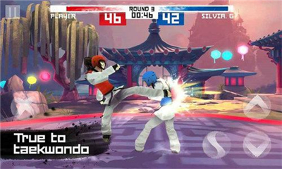 跆拳道游戏taekwondo