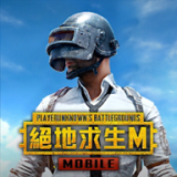 pubgmobilelite轻量版