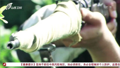HDP直播TV版