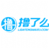 撸了么小说