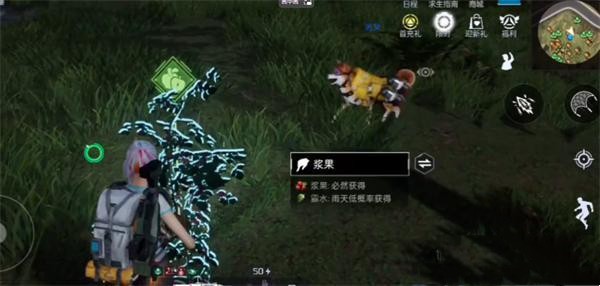 星球重启水果肉串怎么制作 星球重启水果肉串制作方法