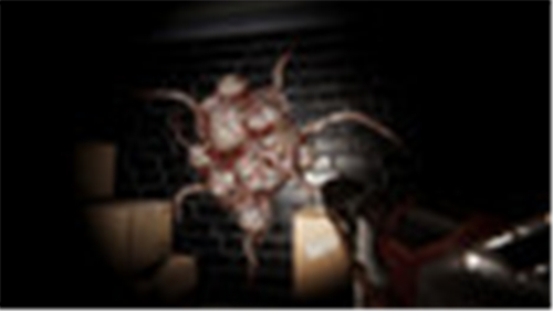 Infestation88游戏截图