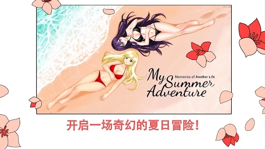 我的夏日冒险另一种生活的回忆截图