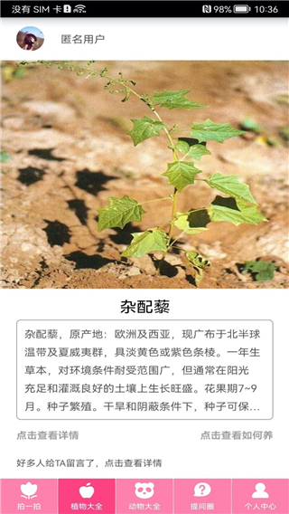 万能拍照识物