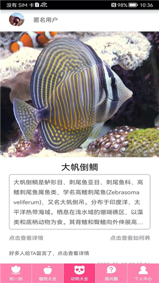 万能拍照识物