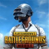 绝地求生国际服pubg下载