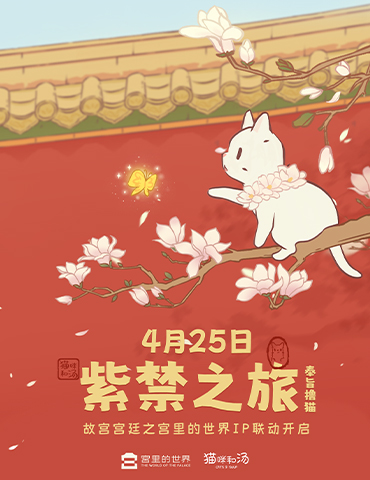 与《猫咪和汤》一起奔赴一场紫禁之约