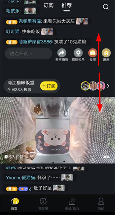 哈啰街猫软件