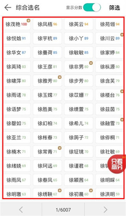 起名大师软件