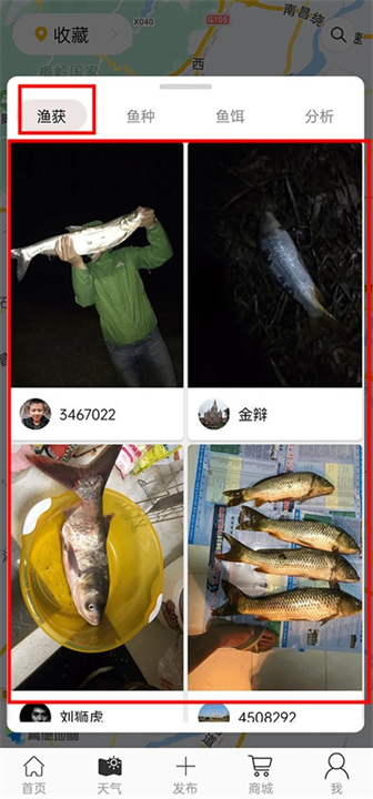 渔获钓鱼软件
